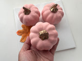 Pink Pumpkin Halloween Photograph Background Home Decor