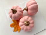 Pink Pumpkin Halloween Photograph Background Home Decor