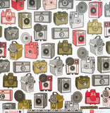 Echo Park Cameras Paper