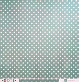 Echo Park Teal Small Dots Paper