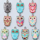 2pcs, Owl Charm Enamel Style Charms