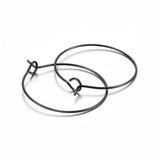2 Pairs (4pcs),  25mm x0.7mm, 304 Stainless Steel Hoop Earrings, Ring in Black