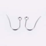 10pcs, Tarnish Resistant 304 Stainless Steel Earring Hooks, Ear Wire, with Horizontal Loop, Stainless Steel Color