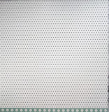 Pebbles Spring Fling Chalkboard  Floral Paper