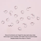 10pcs (5pairs), Tarnish Resistant 304 Stainless Steel Leverback Earring Findings, with Loop in Stainless Steel Colour
