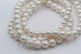 1 Strand, 8mm/10mm/12mm, High Quality, Natural Freshwater Cultured Pearl, Round in White