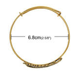 1pc, 22cm long , Feather Expandable Charm Bangle Bracelet in Antique Gold