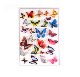 1 Sheet, 15x10cm, Plastic Picture(No Adhesive Tape on the back), For UV Resin, Epoxy Resin Jewelry Craft Making, Butterfly in  Mixed Color