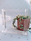 Organic Glass Earring Stands Displays, Two-Tier Earring Display Stand in Clear